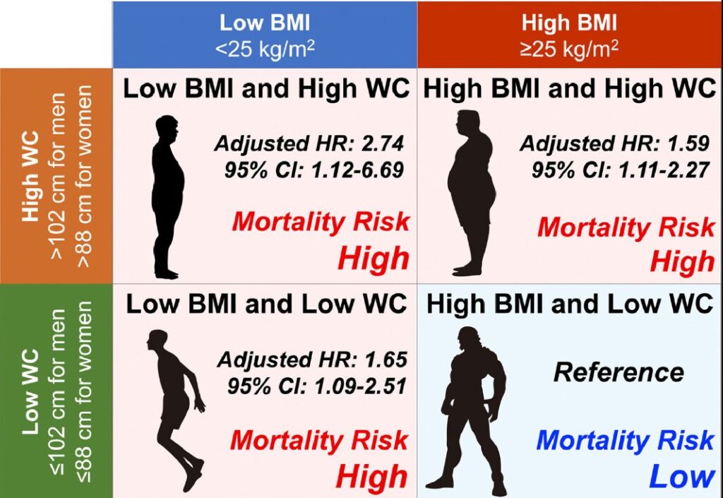 腹囲とBMIの区分別予後比較